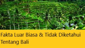 Fakta Luar Biasa & Tidak Diketahui Tentang Bali