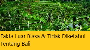 Fakta Luar Biasa & Tidak Diketahui Tentang Bali